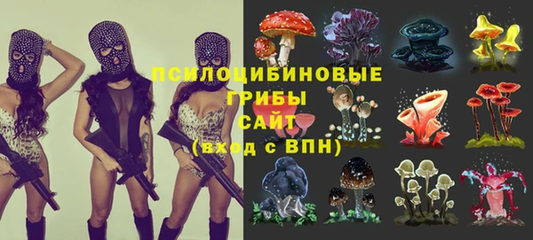 прущая мука Арсеньев