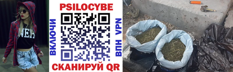 Галлюциногенные грибы Cubensis Рыбное